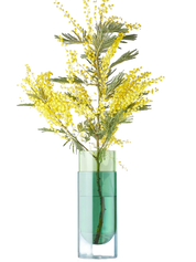 Bouquet Tube Vase Large Grün