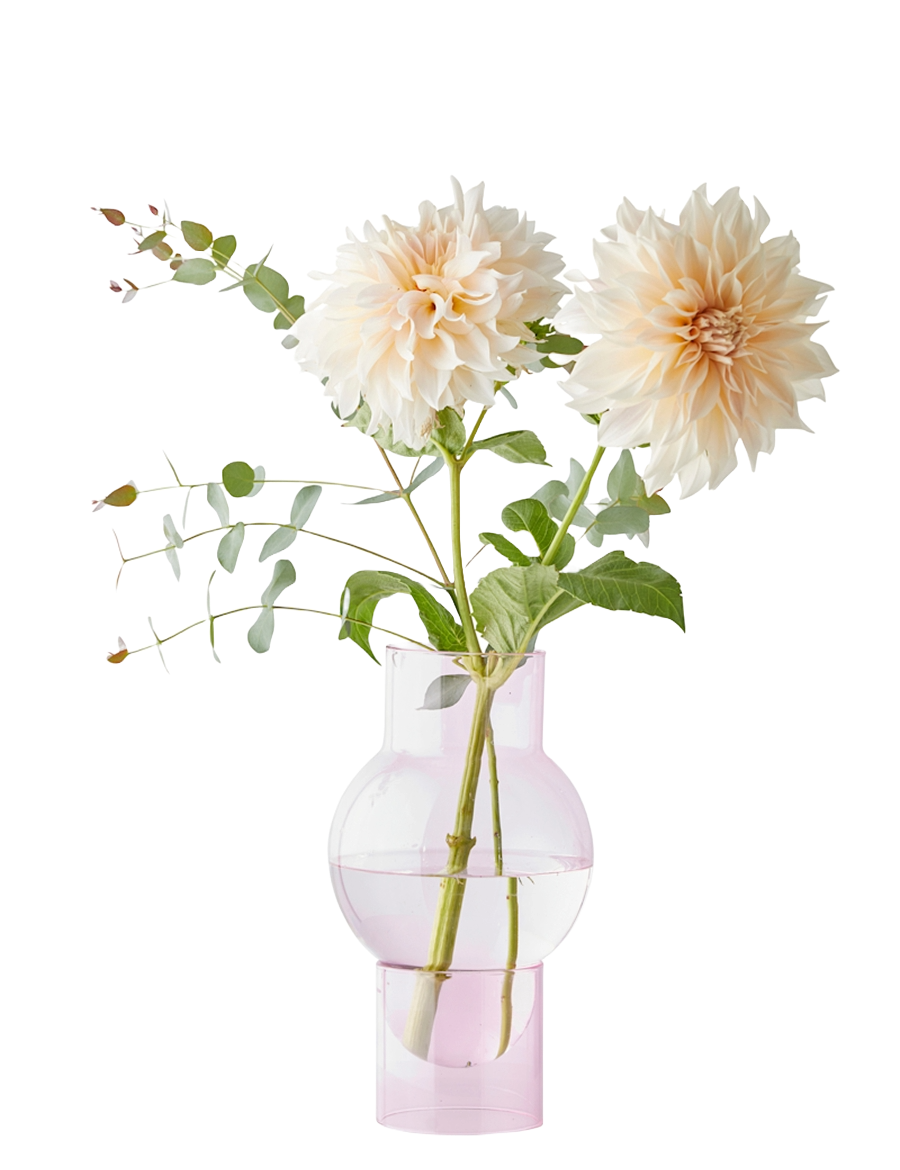 Adobe_Express_-_file_71.png