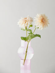 Vase Bubble Tube Large Rosa