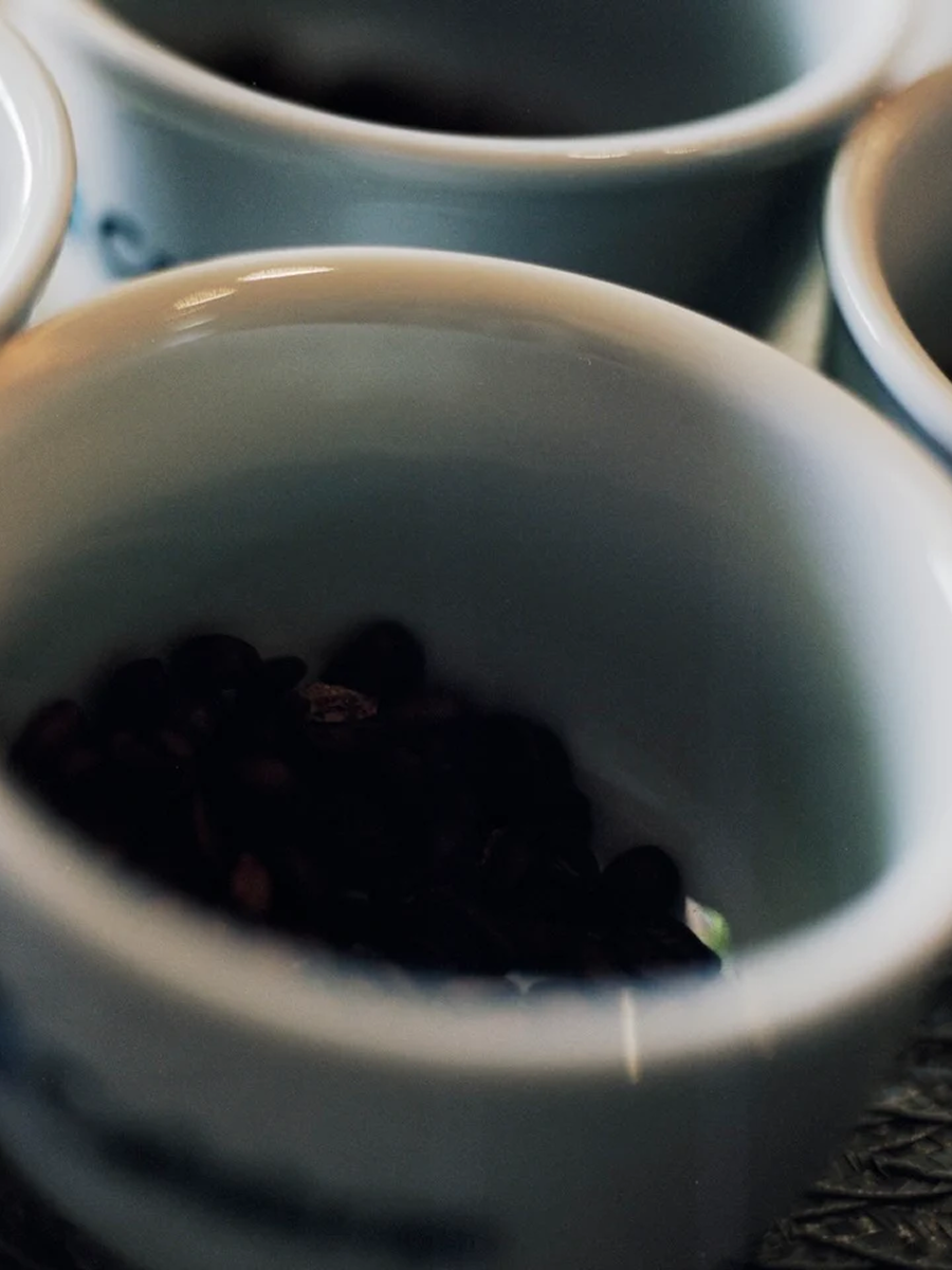 Sítio Maracatu Kaffeebohnen