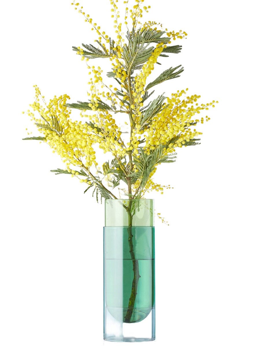 Studio About Bouquet Tube Large Vase Grün Frontansicht Freigestellt
